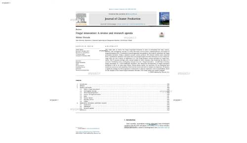 Frugal innovation: A review and research agenda